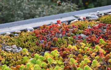 the cost of Lower Studley green roof installation