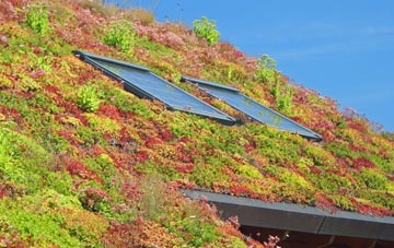 Lower Studley living roof systems