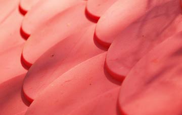 Lower Studley plastic roof costs