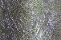 Lower Studley fibreglass roof work